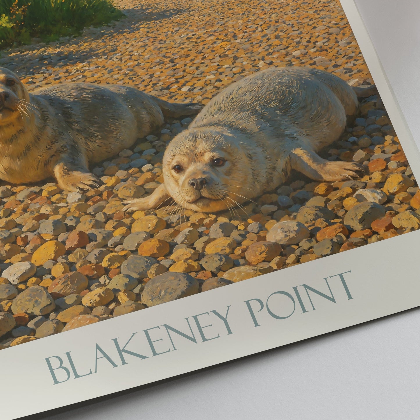 Blakeney Point Seals Poster | Norfolk Coast Lighthouse Art Print ~ England Wildlife & Nature Home Decor | Coastal Travel Gift