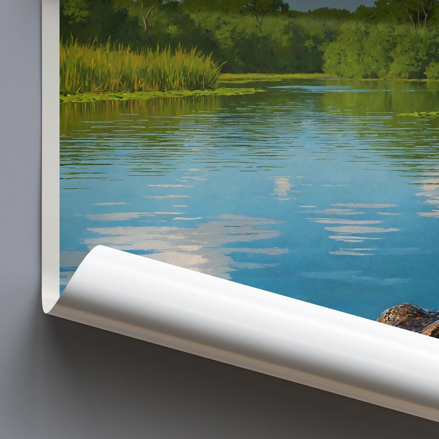 Everglades Travel Print, Alligator ~ Florida Travel Poster