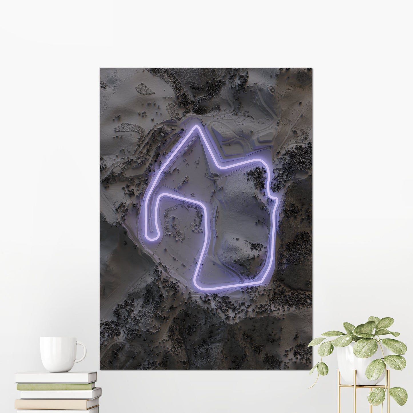 Laguna Seca Circuit ~ 2D Shaded Relief Map Print Poster