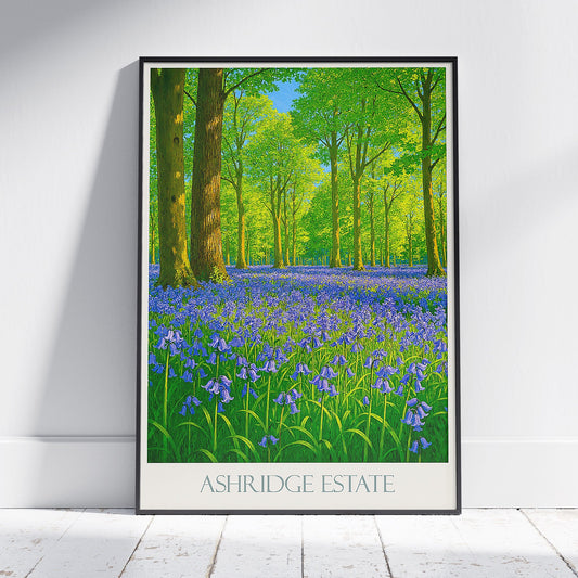 Ashridge Estate Bluebell Wood Travel Poster | Spring Forest Art Print | UK Nature Wall Art