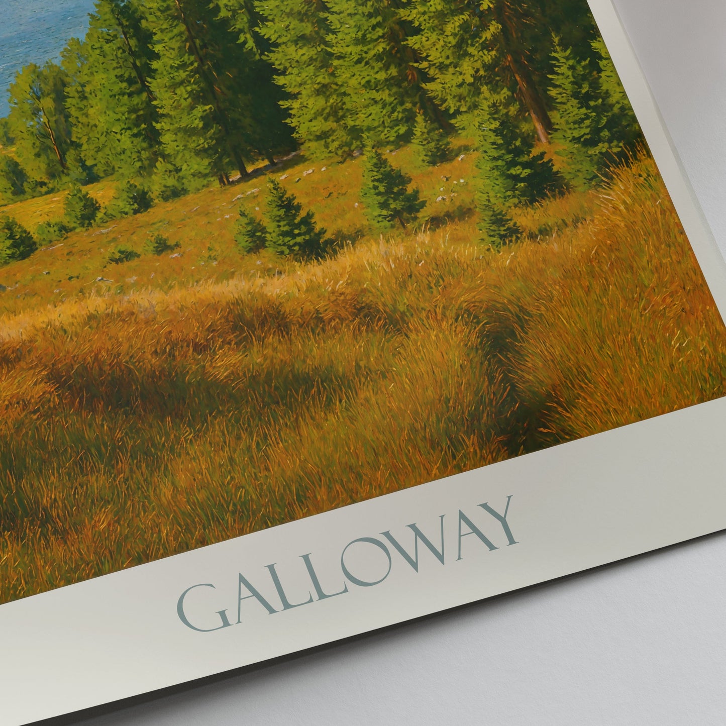 Galloway Forest Park Travel Poster | Scotland Loch Landscape Art Print | Scottish Nature Wall Decor | Adventure Gift