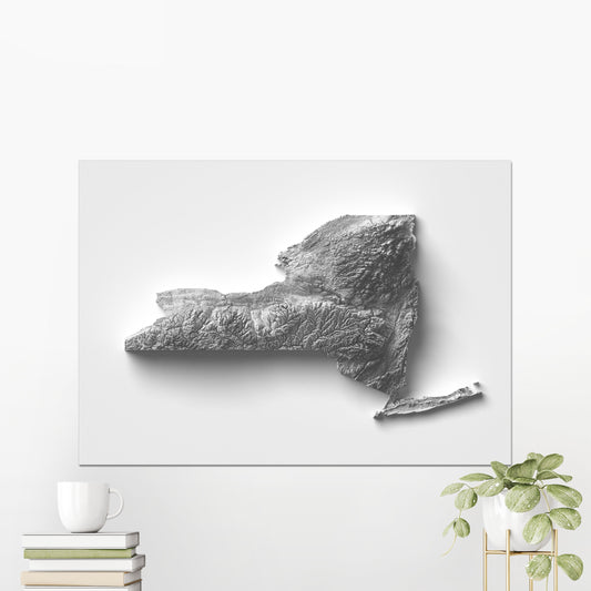 New York state ~ 2D Shaded Relief Map Topographic Print Poster