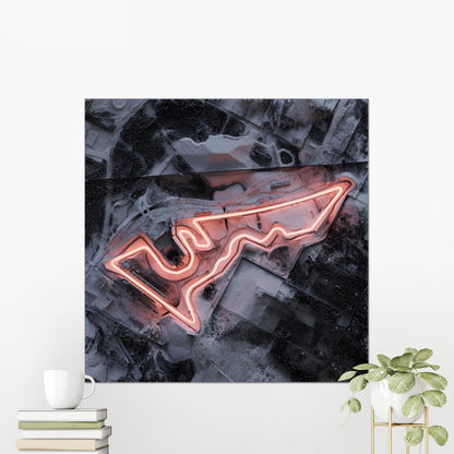 Circuit of the Americas COTA ~ F1 United States Grand Prix ~ 2D Shaded Relief Map Print Poster
