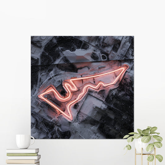 Circuit of the Americas COTA ~ F1 United States Grand Prix ~ 2D Shaded Relief Map Print Poster