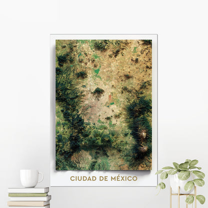 Mexico City, Mexico ~ 2D Aerial Imagery Shaded City Relief Map Print