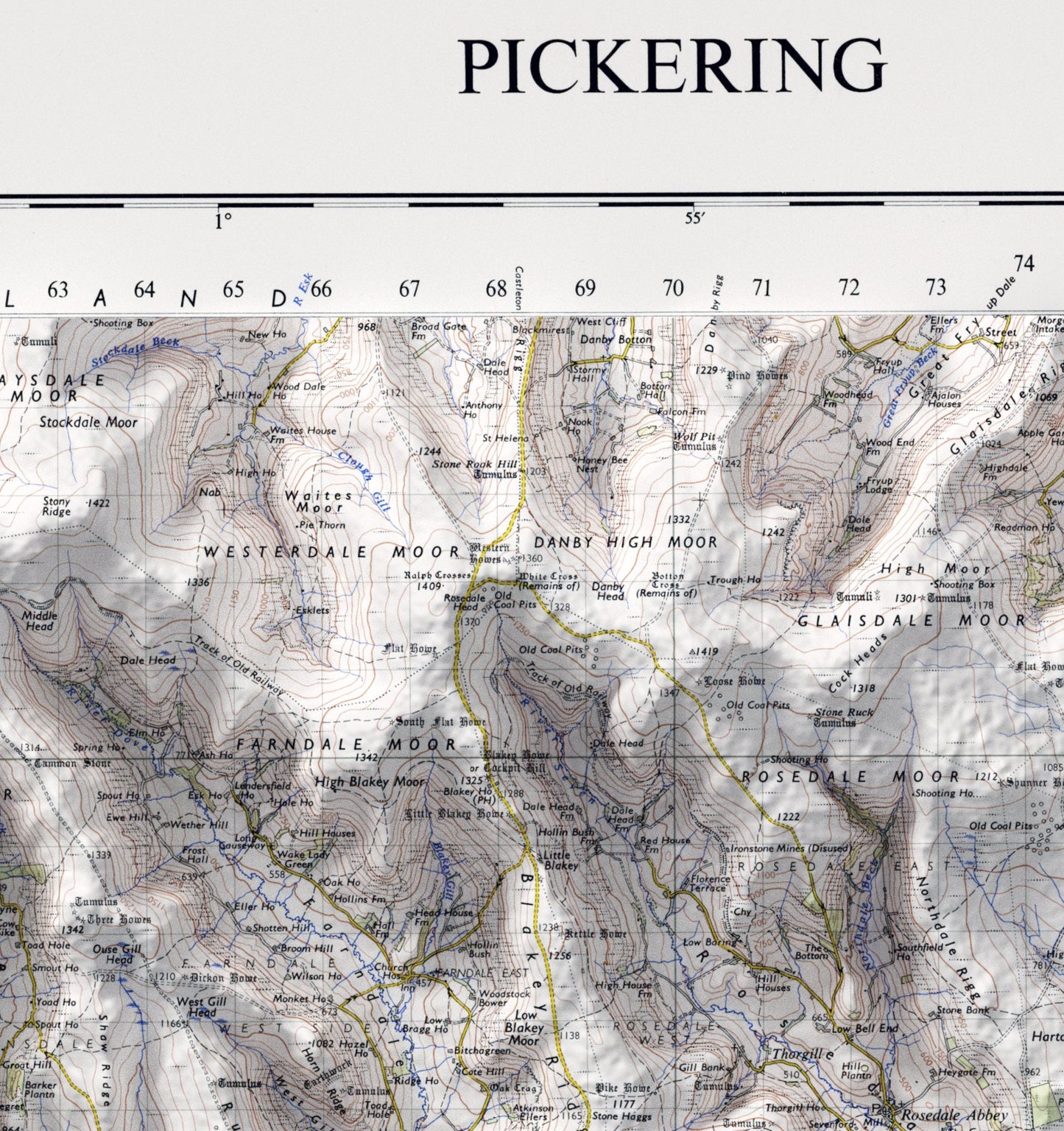 Pickering & North York Moors ~ 2D Shaded Relief Map Vintage Style Print