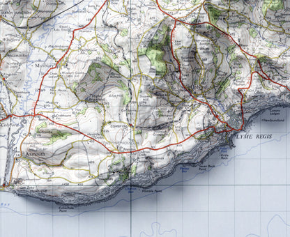 Taunton & Lyme Regis, Dorset ~ Vintage Style 2D Shaded Relief Map Print