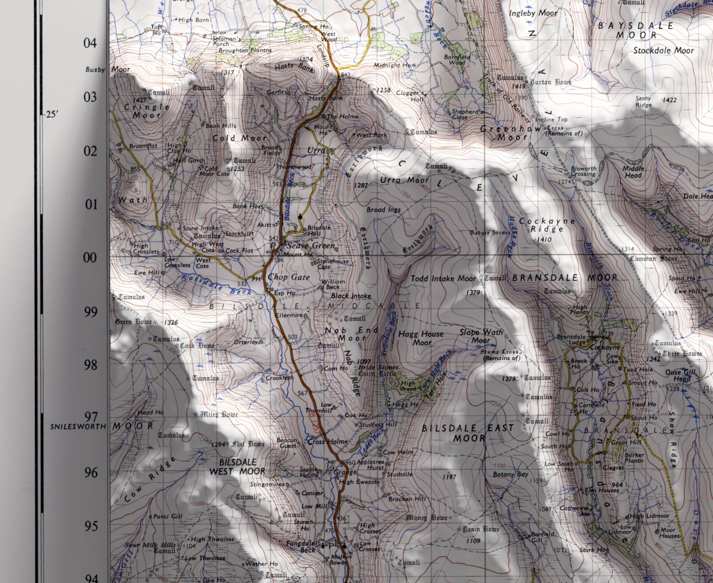 Redcar & Whitby, North York Moors ~ 2D Shaded Relief Map Vintage Style Print