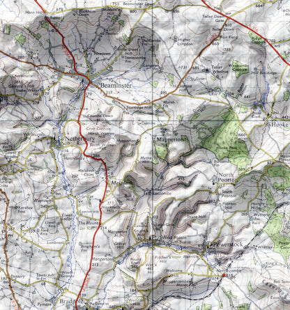 Taunton & Lyme Regis, Dorset ~ Vintage Style 2D Shaded Relief Map Print