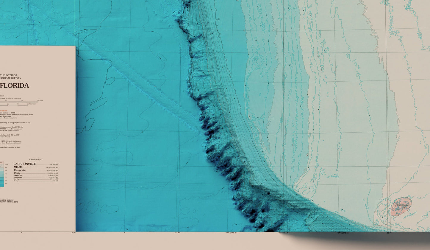 Florida Bathymetric Map Shaded Relief 2D Print