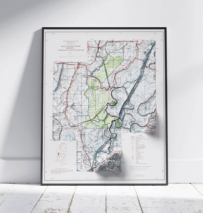 Delta National Forest, Mississippi ~ Shaded Relief Map 2D Print