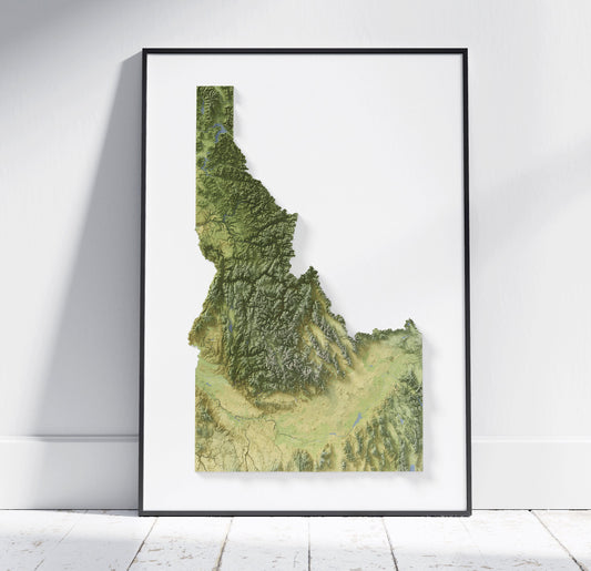 Idaho Map ~ 2D Aerial Topographic Relief Print ~ Shaded Relief US State