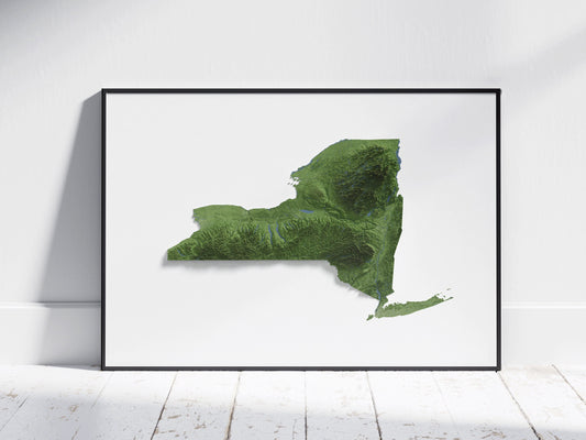 New York Map ~ 2D Aerial Topographic Relief Print ~ Shaded Relief