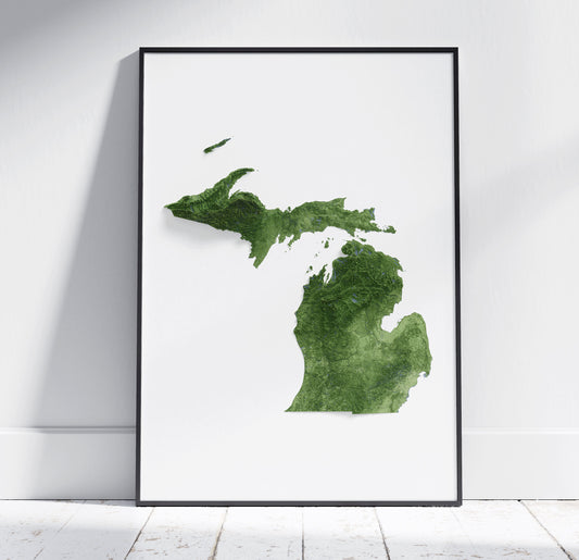 Michigan Map ~ 2D Aerial Topographic Relief Print ~ Shaded Relief US State