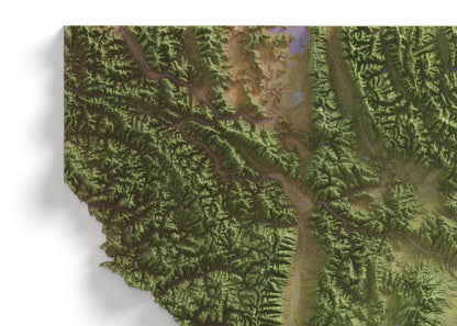 Montana Map ~ 2D Aerial Topographic Relief Print ~ Shaded Relief